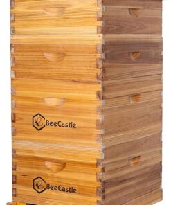 BeeCastle 10 Frame Langstroth Bee Hive with Beeswax Coated Frames 2 Deep 2 Medium Boxes